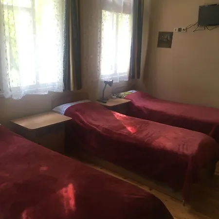 Pensjonat Parko Druskieniki