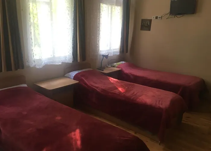 Guest house Parko Druskininkai