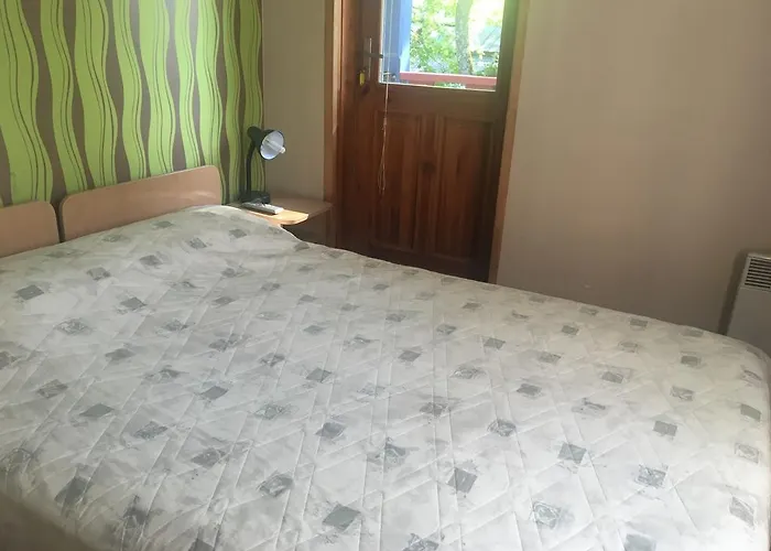 Guest house Parko 3*